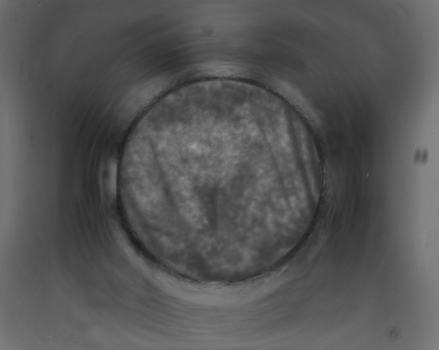 X0000092090014200710101110
