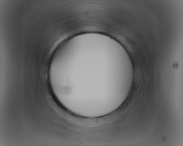X0000092090015200710101110