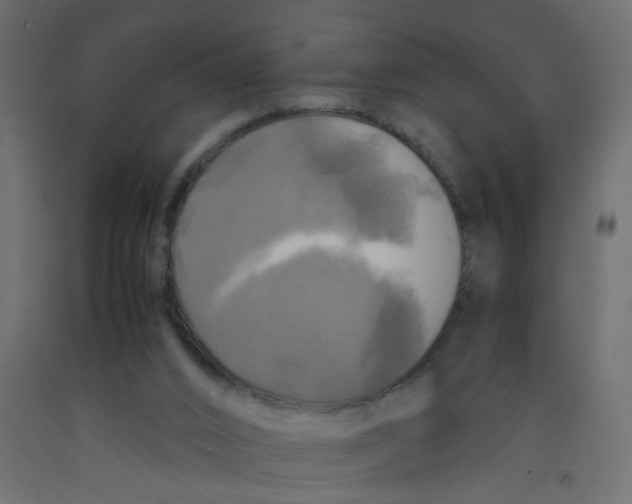 X0000092090016200710101110