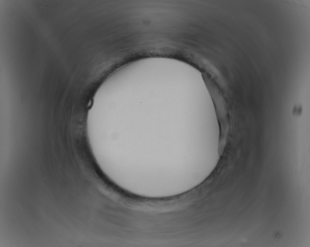 X0000092090017200710101110
