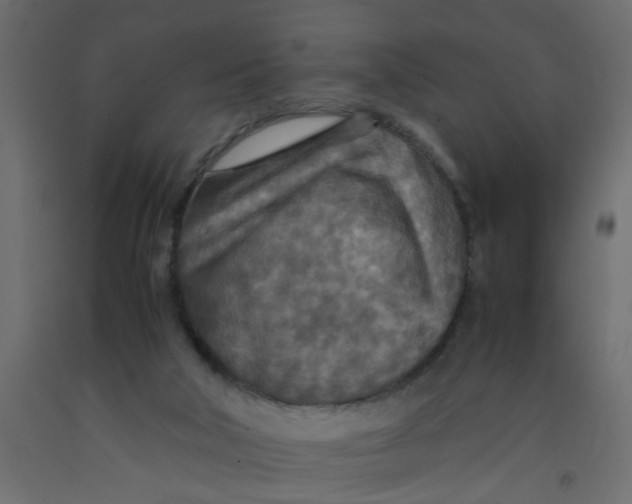 X0000092090018200710101110