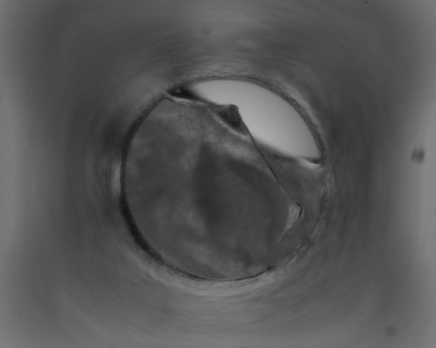 X0000092090019200710101110
