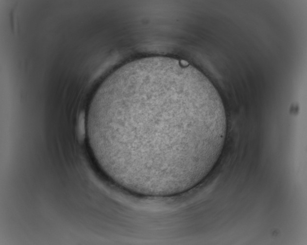 X0000092090020200710101110