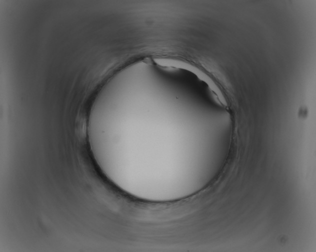 X0000092090021200710101110