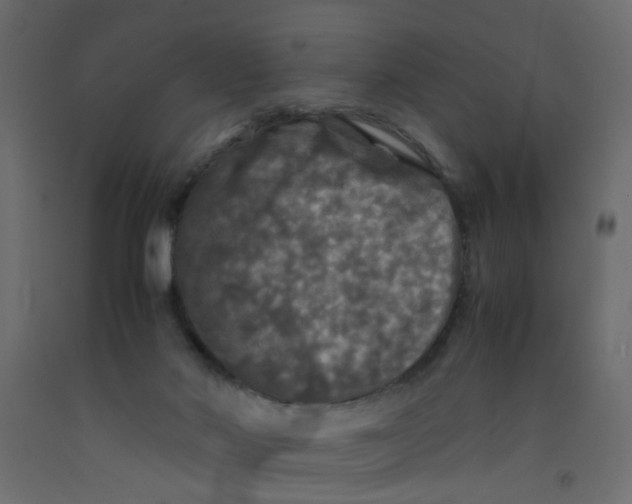 X0000092090022200710101110