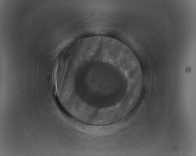 X0000092090023200710101110