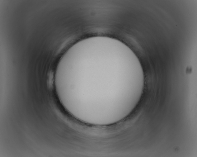 X0000092090024200710101110