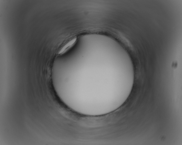 X0000092090025200710101110