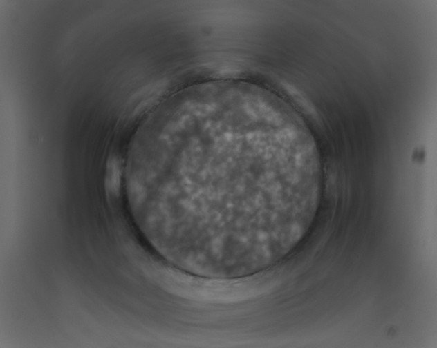 X0000092090026200710101110