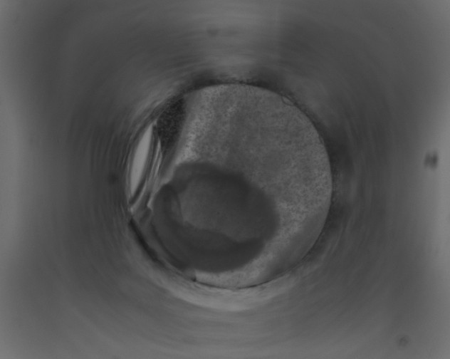 X0000092090027200710101110