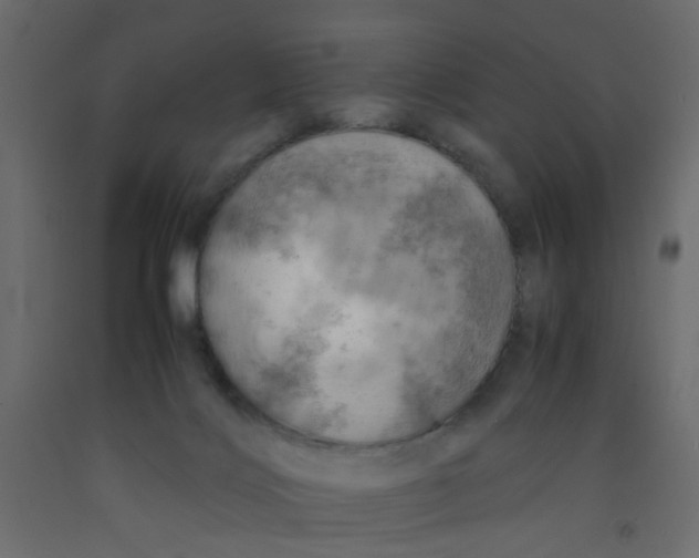 X0000092090028200710101110