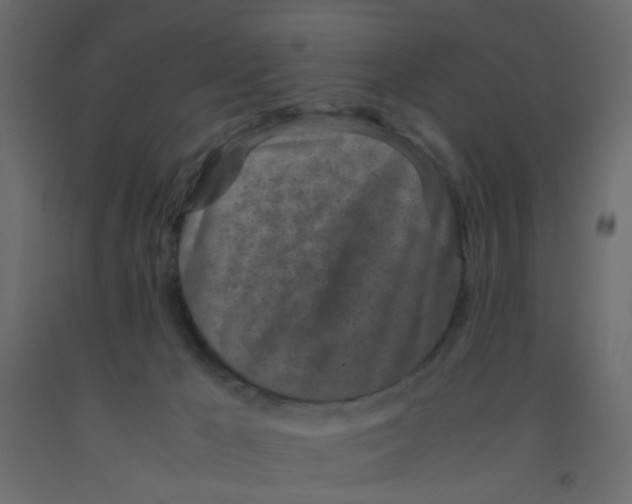 X0000092090029200710101110