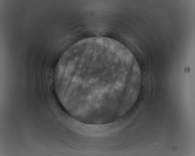 X0000092090030200710101110