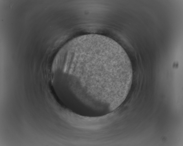 X0000092090031200710101110