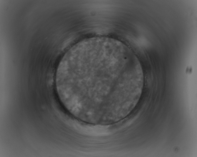 X0000092090032200710101110