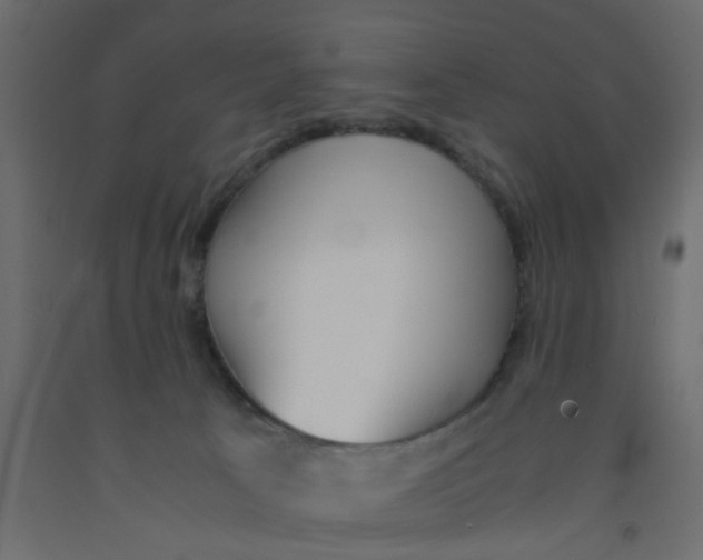 X0000092090033200710101110