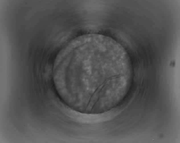 X0000092090034200710101110