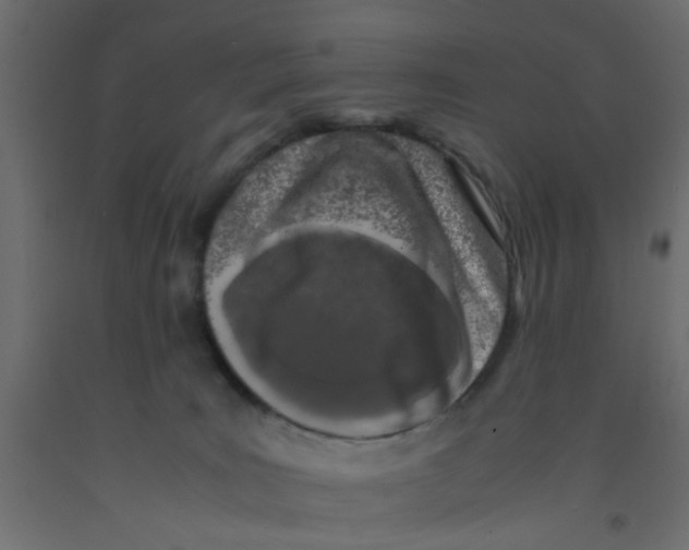 X0000092090035200710101110