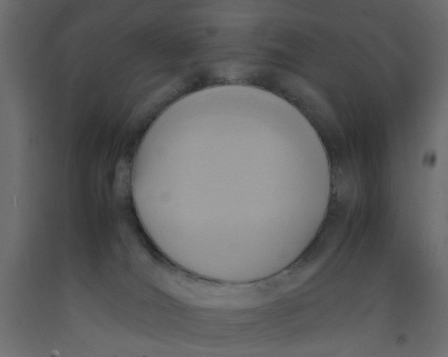 X0000092090036200710101110
