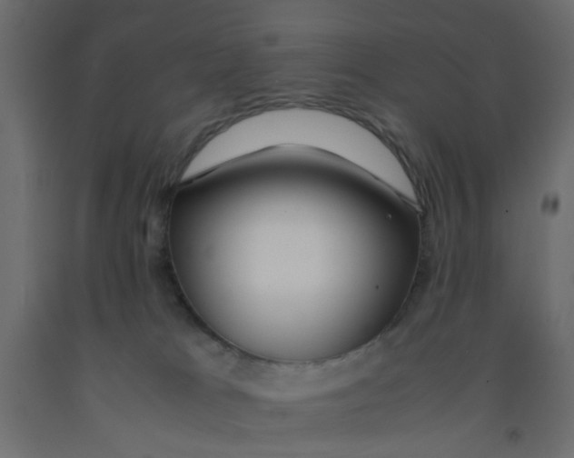 X0000092090037200710101110