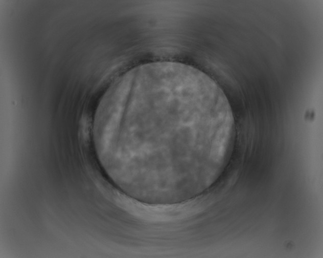 X0000092090038200710101110