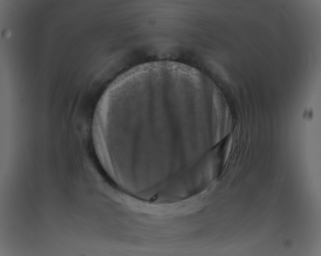 X0000092090039200710101110