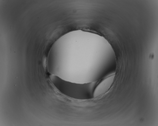 X0000092090041200710101110