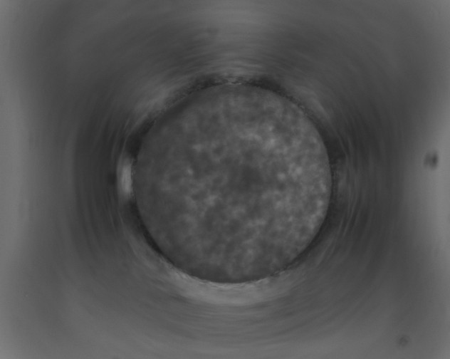 X0000092090042200710101110