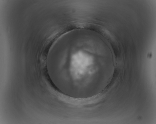 X0000092090043200710101110