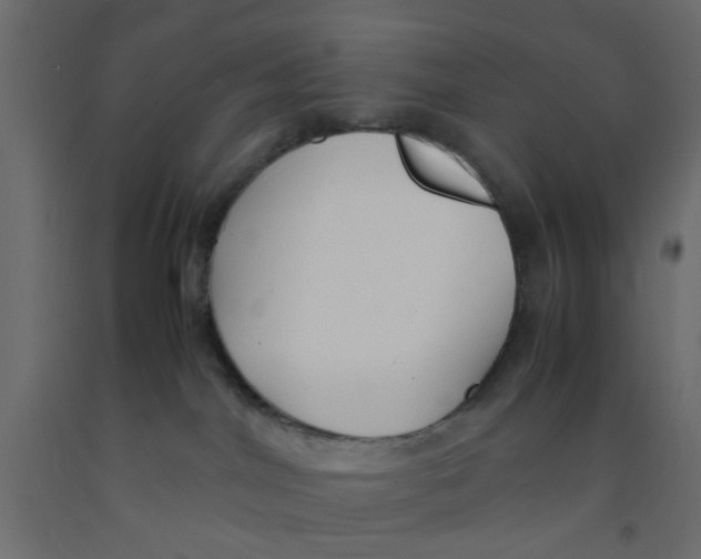 X0000092090044200710101110