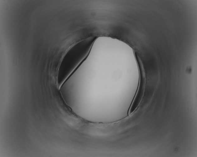 X0000092090045200710101110