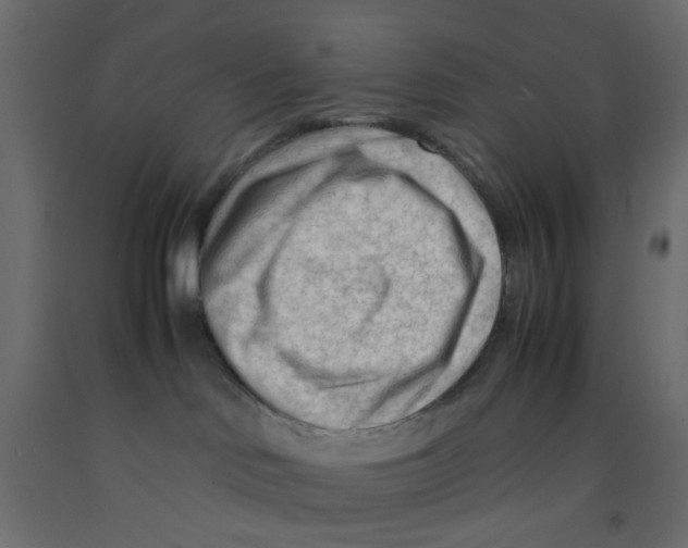 X0000092090046200710101110
