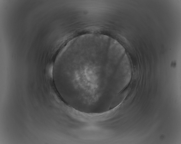 X0000092090047200710101110