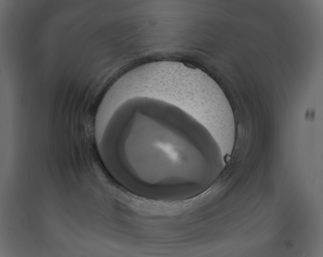 X0000092090048200710101110