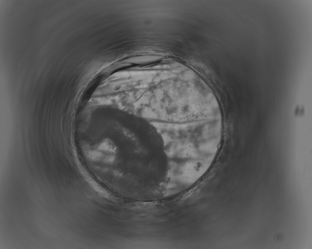 X0000092090049200710101109