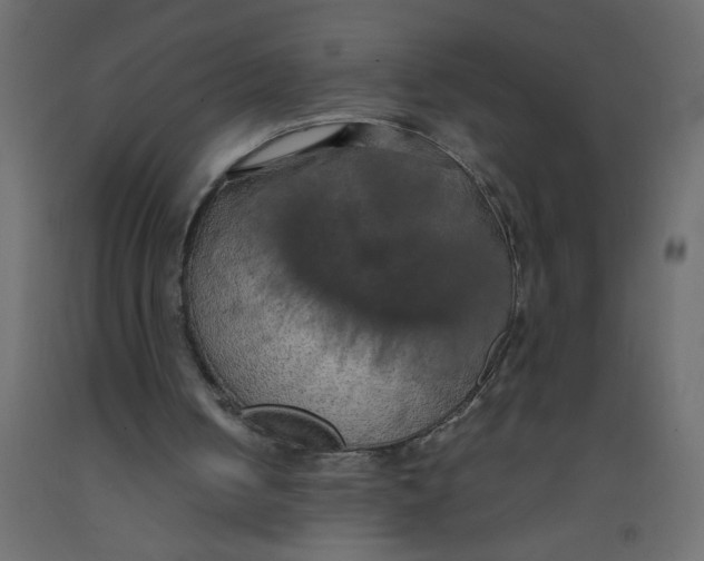 X0000092090050200710101109