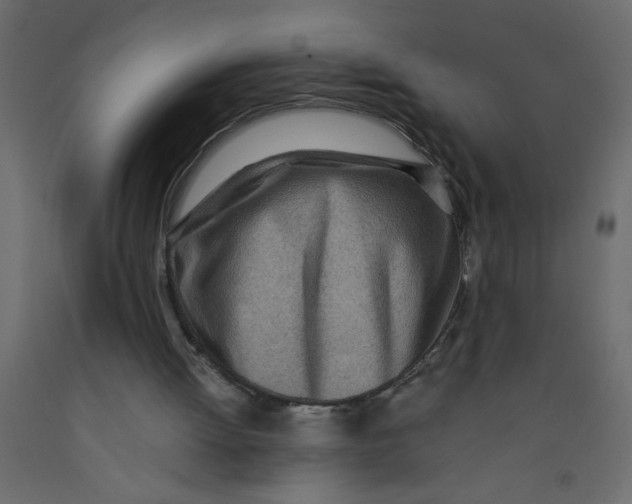 X0000092090052200710101109