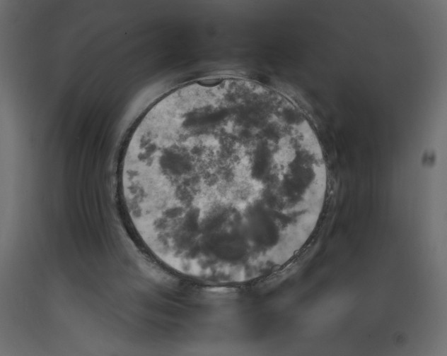 X0000092090053200710101109