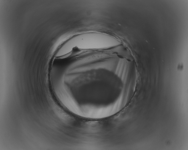 X0000092090054200710101109