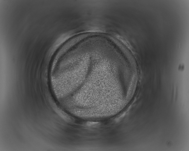X0000092090055200710101109