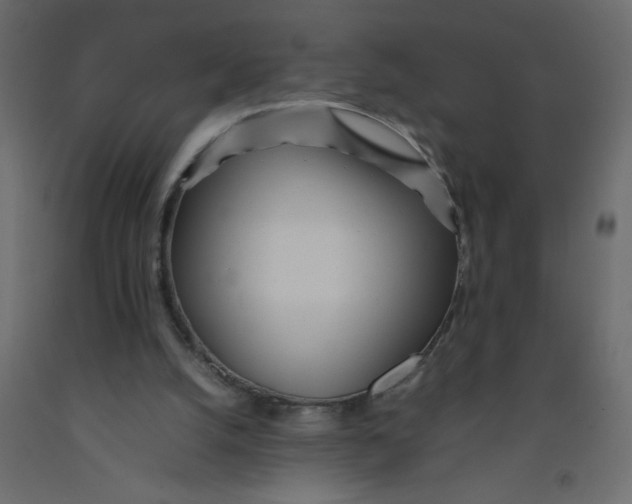 X0000092090056200710101109