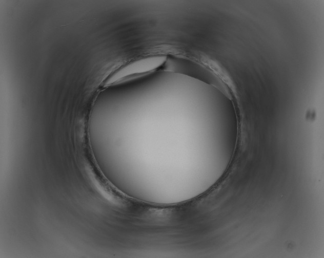X0000092090057200710101110
