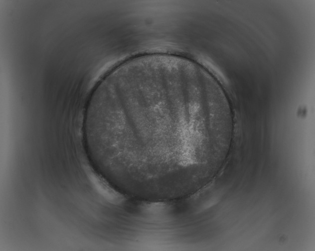 X0000092090058200710101110