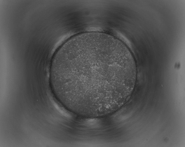 X0000092090059200710101110