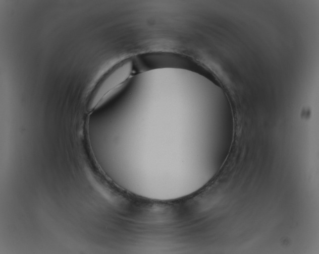 X0000092090060200710101110