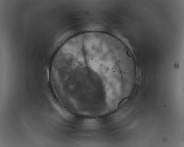 X0000092090061200710101110