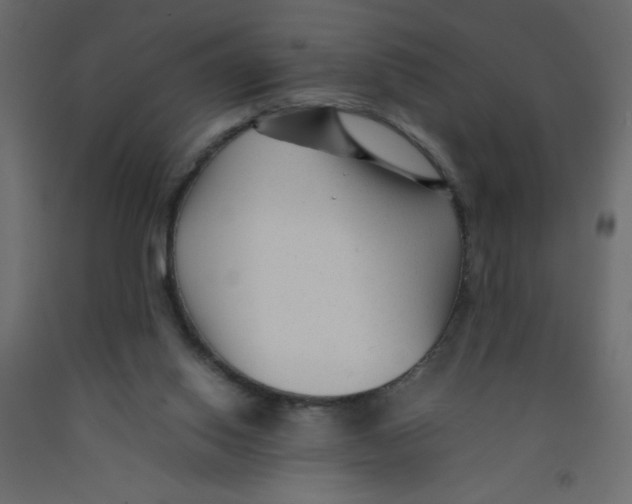 X0000092090062200710101110