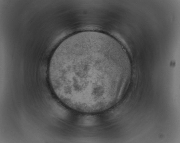 X0000092090063200710101110
