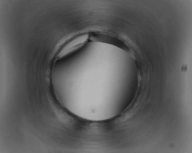 X0000092090064200710101110