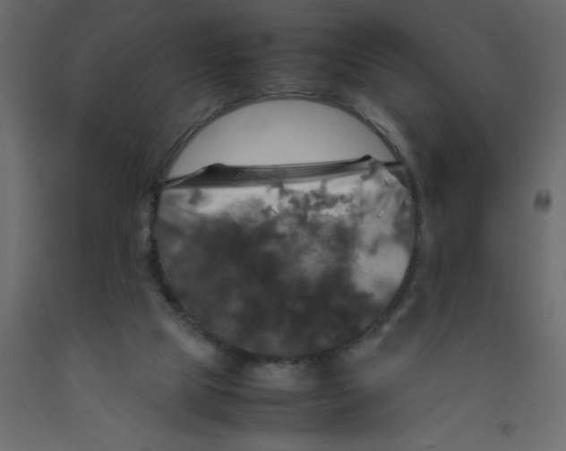 X0000092090065200710101110